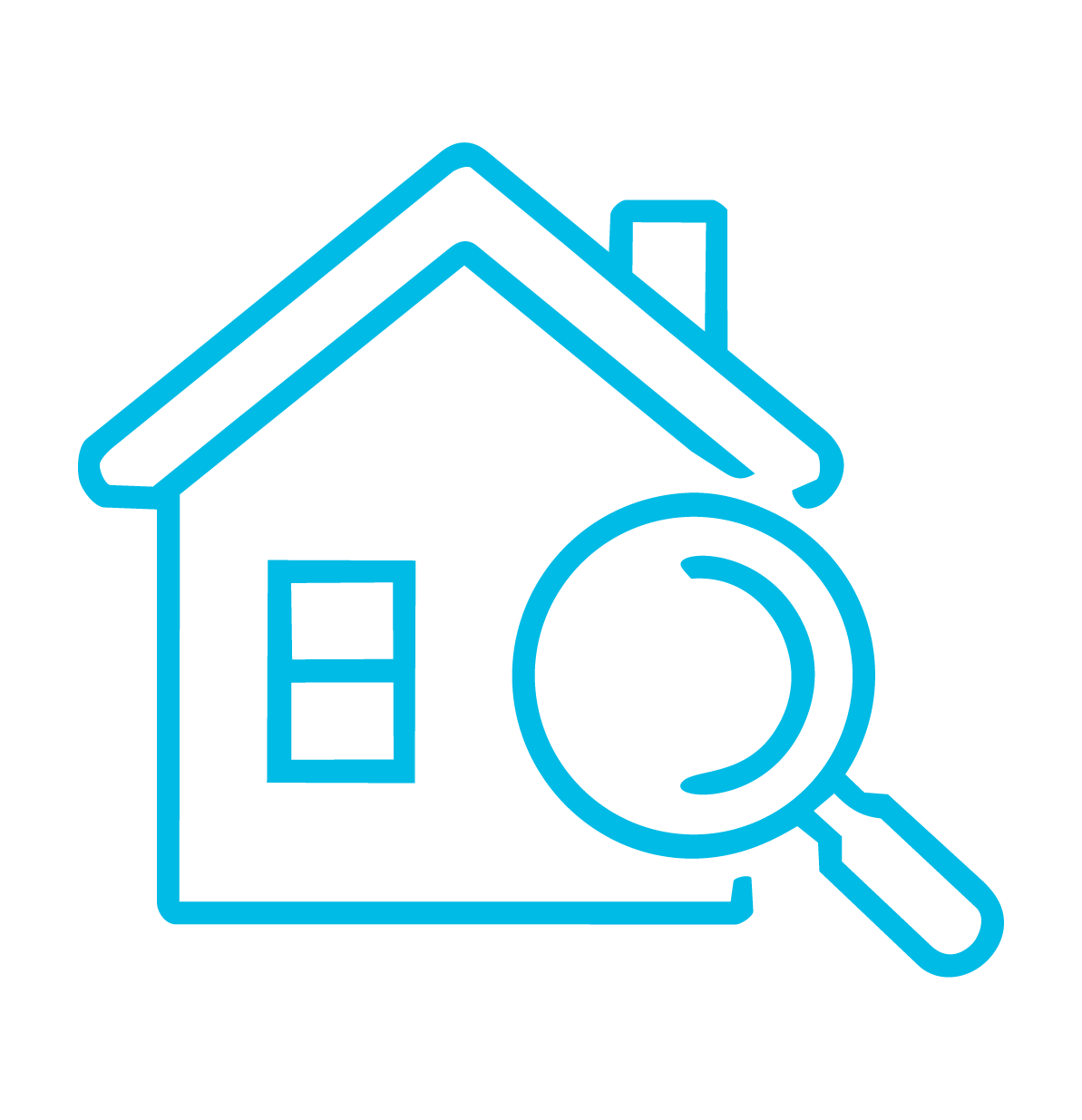 Home Inspections